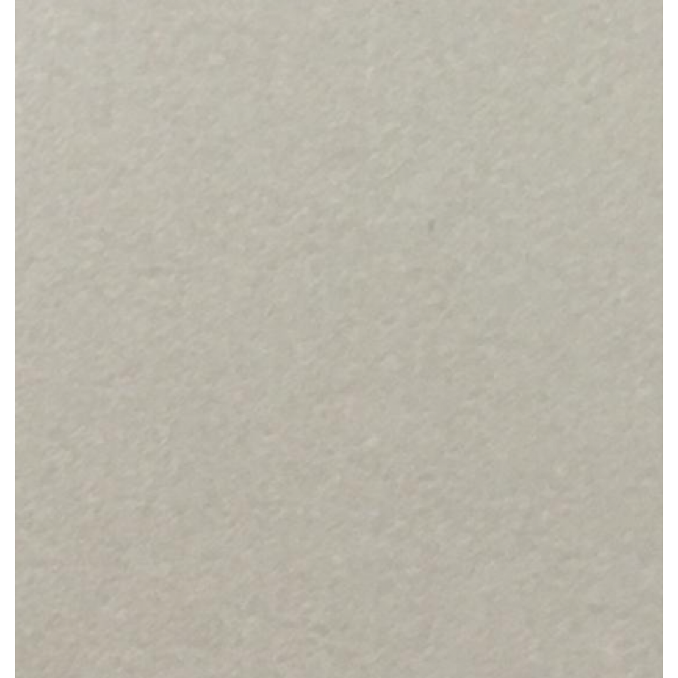 Prestige Name Card Stardream Quartz 285gsm